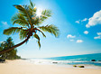 Antilles