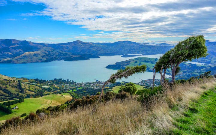Croisière Akaroa