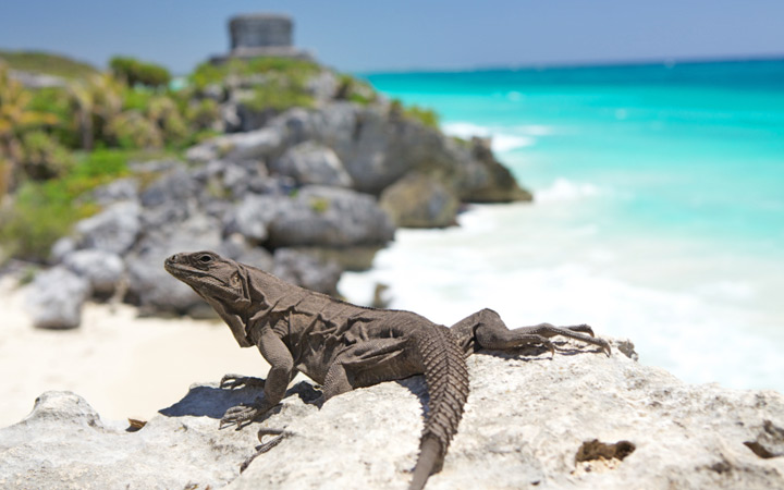 Croisière Costa Maya