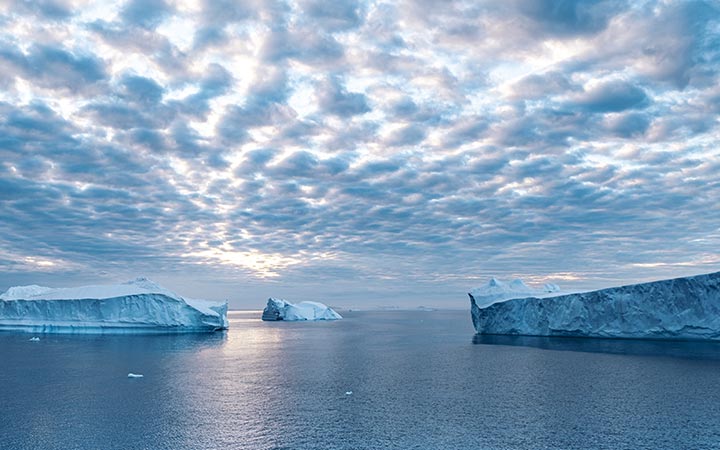 Croisière Détroit Antarctic