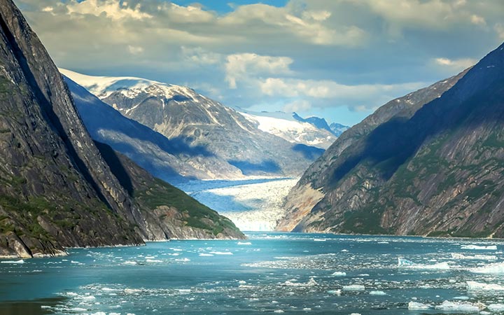 Croisière Endicott Arm Fjord