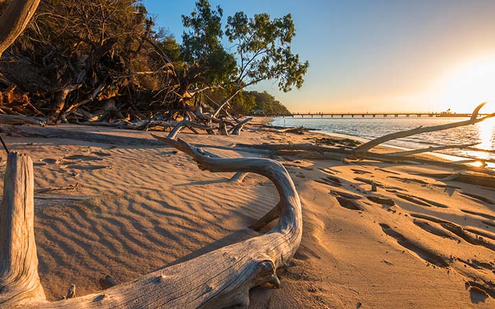 Croisière Fraser Island