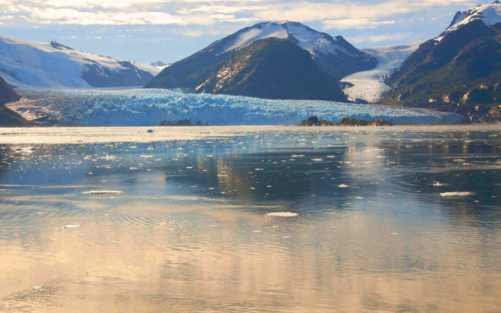 Croisière Glacier Amalia