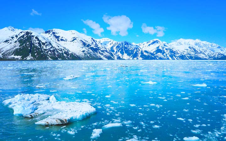 Croisière Glacier Hubbard