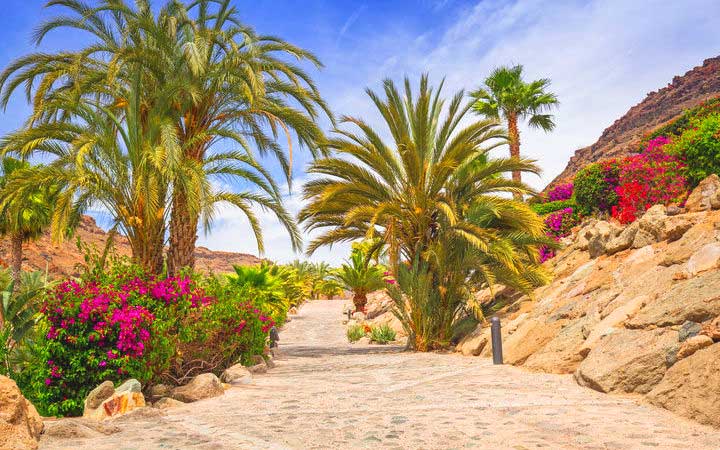 Croisière Gran Canaria