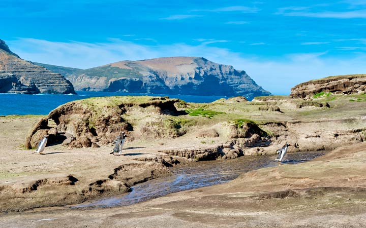 Croisière Grave Cove