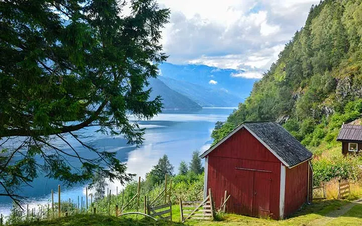 Croisière Hardangerfjord