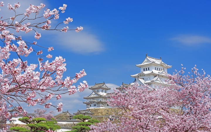 Croisière Himeji
