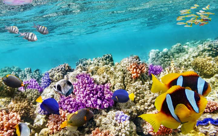 Croisière Hurghada