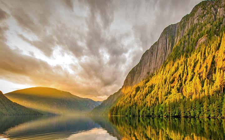 Croisière Misty Fjords