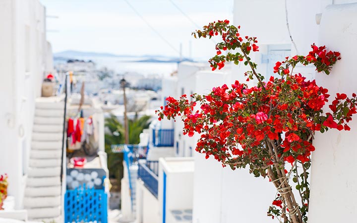 Croisière Mykonos