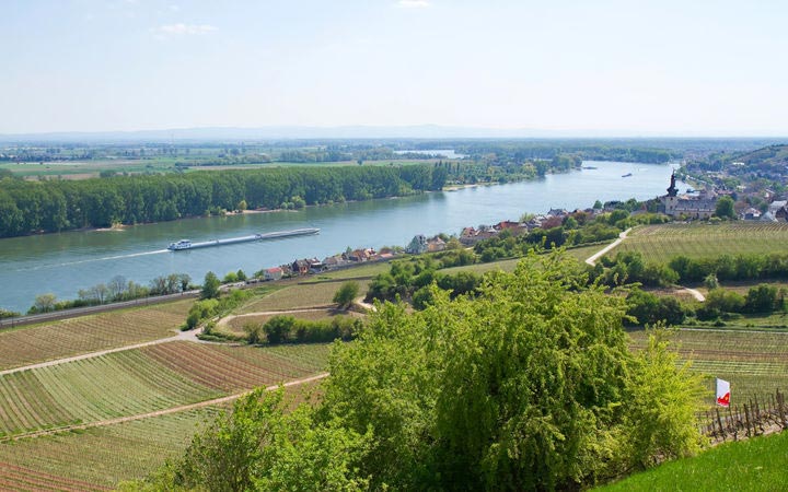 Croisière Nierstein