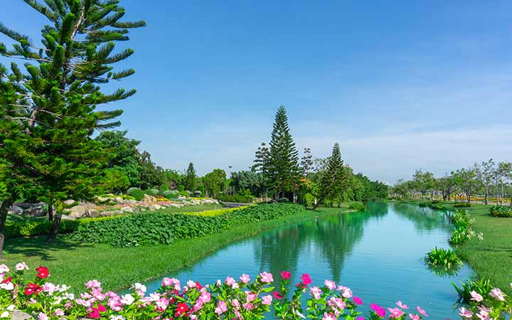 Croisière Norfolk Island