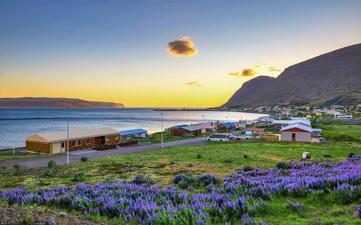 Croisière Patreksfjordur