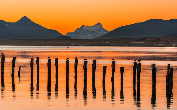Croisière Puerto Natales