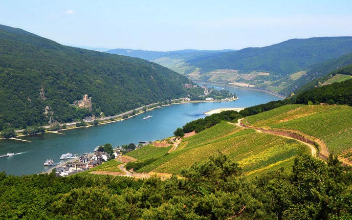 Croisière Rudesheim 