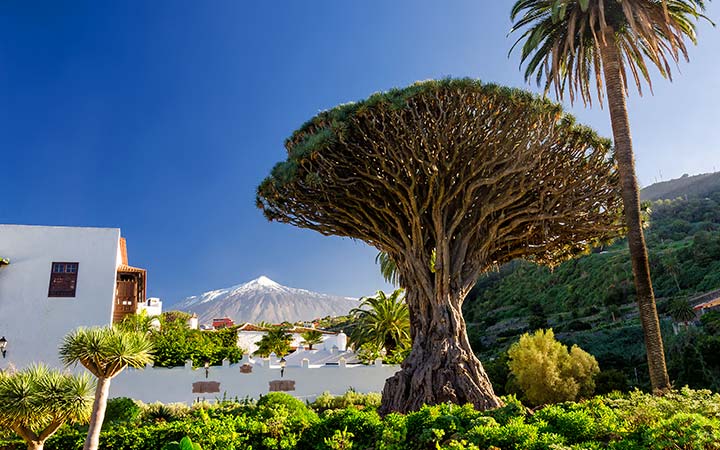 Croisière Santa Cruz de Tenerife