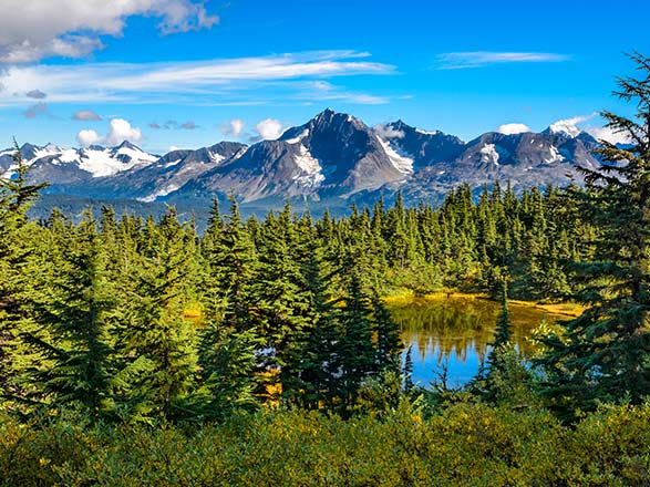 croisière Amérique du Nord : Merveilles de l'Alaska 