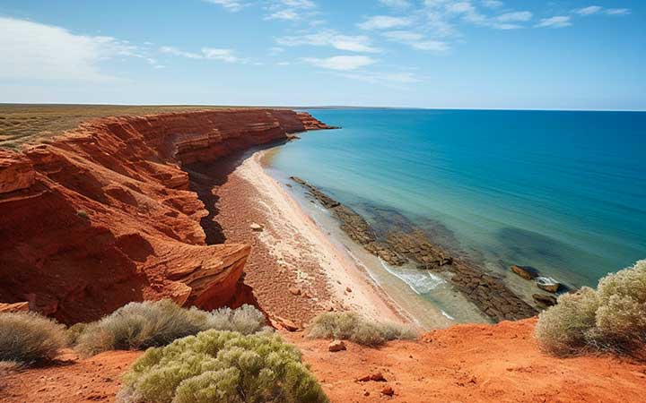 Croisière Shark Bay