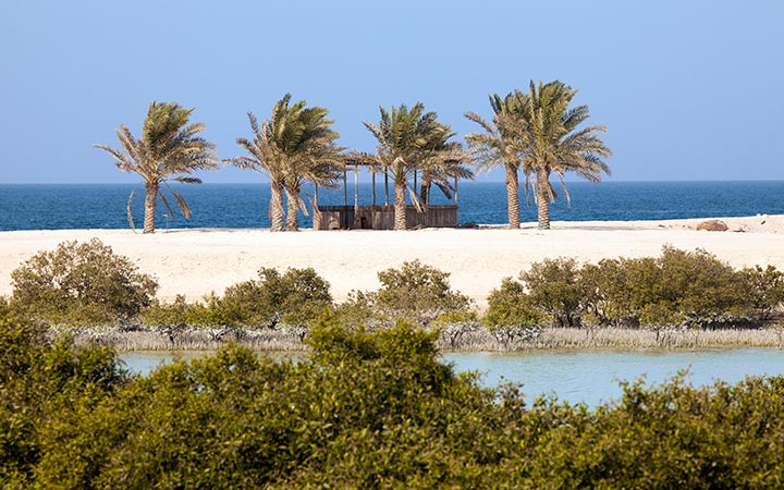 Croisière Sir Bani Yas