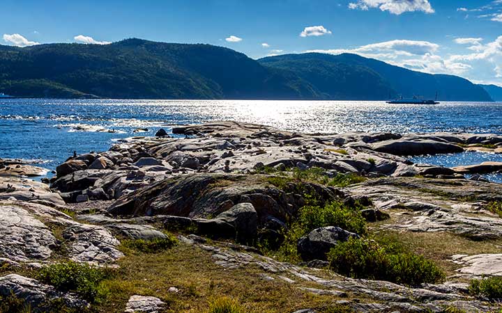 Croisière Tadoussac