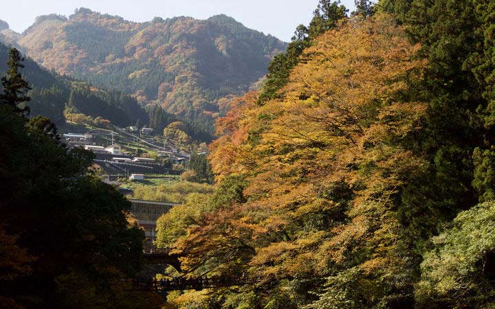 Croisière Tokushima