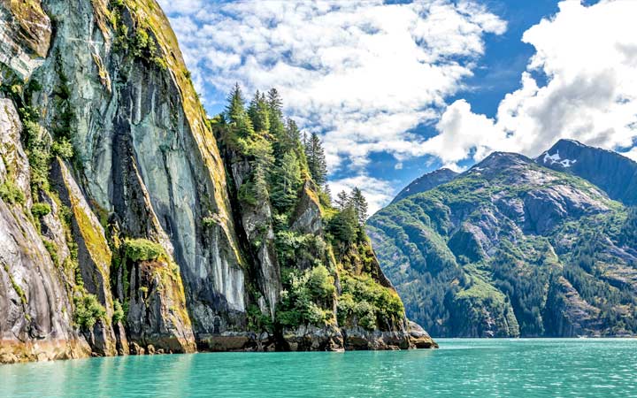 Croisière Tracy Arm Fjord