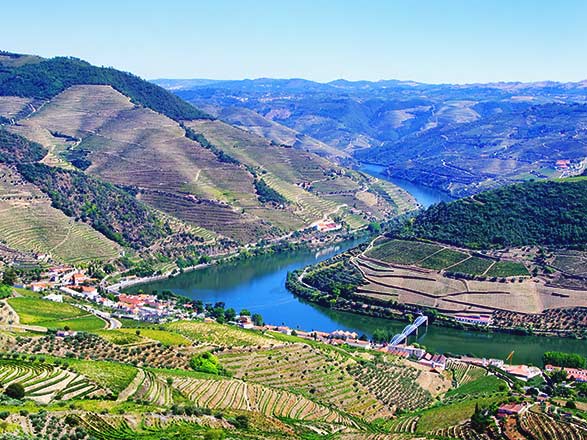 croisière Douro : Famille: de Porto vers l'Espagne, la vallée du Douro et Salamanque
