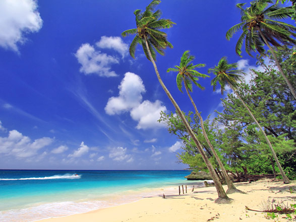 Barbade, Ste Lucie, Dominique, St Christophe et Niévès, St Martin, Porto Rico 
