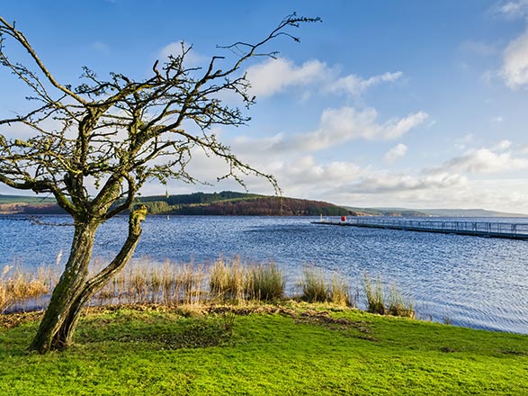Ecosse, Irlande, Angleterre 