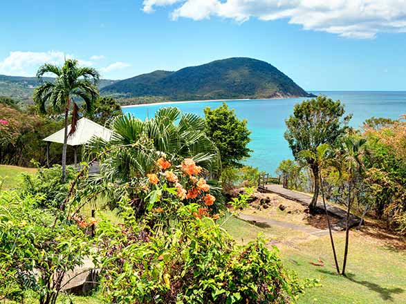 Martinique, Guadeloupe, Ste Lucie, Barbade, St Vincent, Grenade 