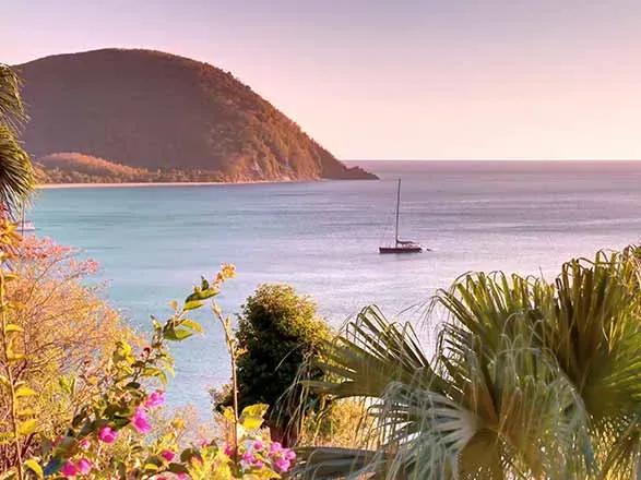 Antilles : Martinique, Guadeloupe, St Kitts, Tortola, Rép. Dominicaine 