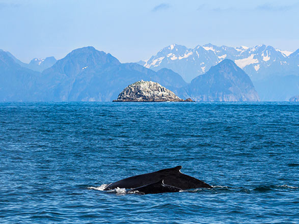 Alaska et Canada au départ de Seward 
