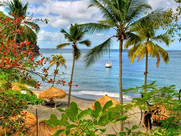 Perles des Antilles 