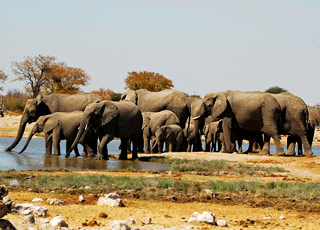 Walvis Bay à Tema (Accra) 
