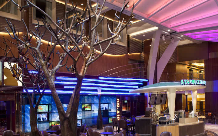 Bateau Allure of the Seas