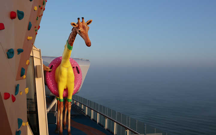 Bateau Anthem of the seas