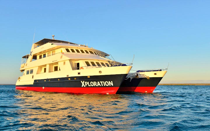 Celebrity Xploration