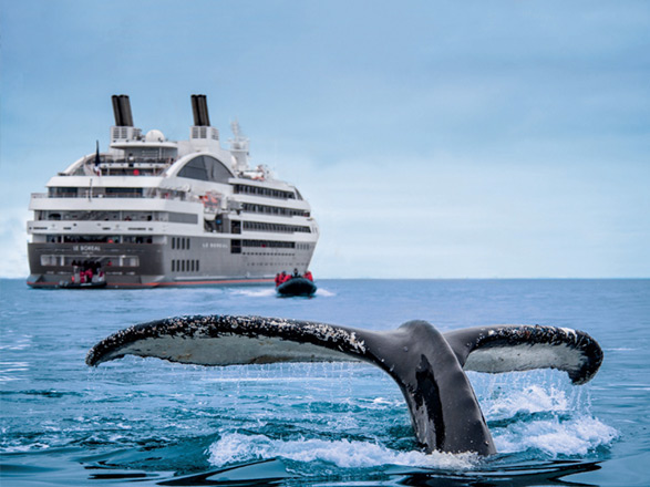 croisière Groenland - Arctique - Antarctique : Voyage en terres australes et péninsule Valdés