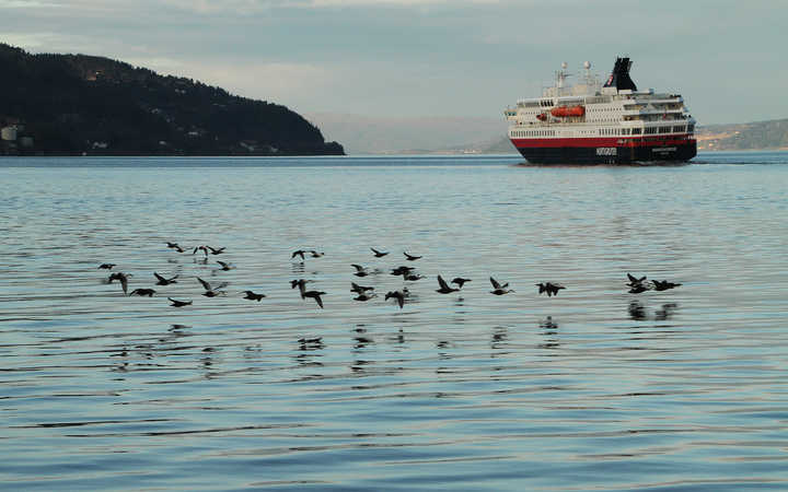 Bateau MS Nordnorge