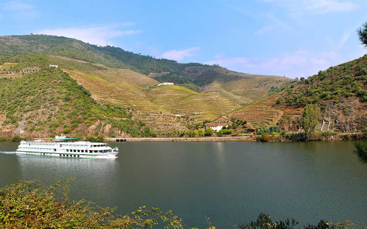 MS Vasco de Gama (ou similaire)