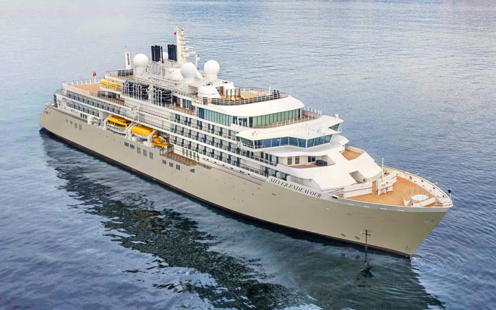 Silver Endeavour