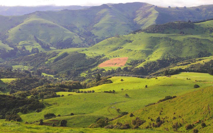 Nouvelle-Zélande (Akaroa)