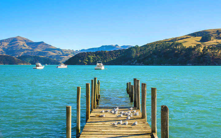 Nouvelle-Zélande (Akaroa)