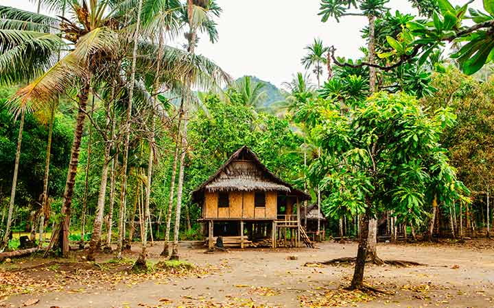 Papouasie-Nouvelle-Guinée (Alotau)