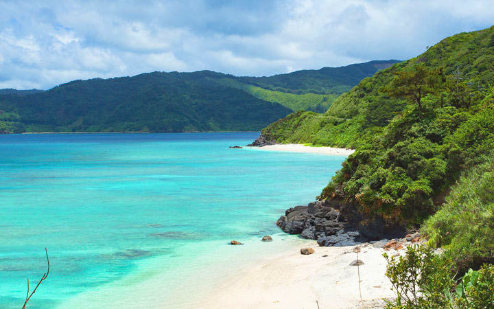 Japon (Amami-Oshima)