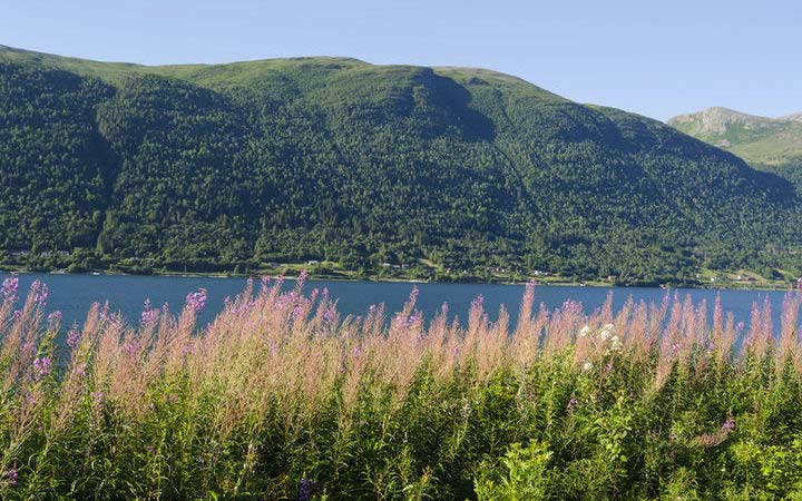 Norvège (Andalsnes)