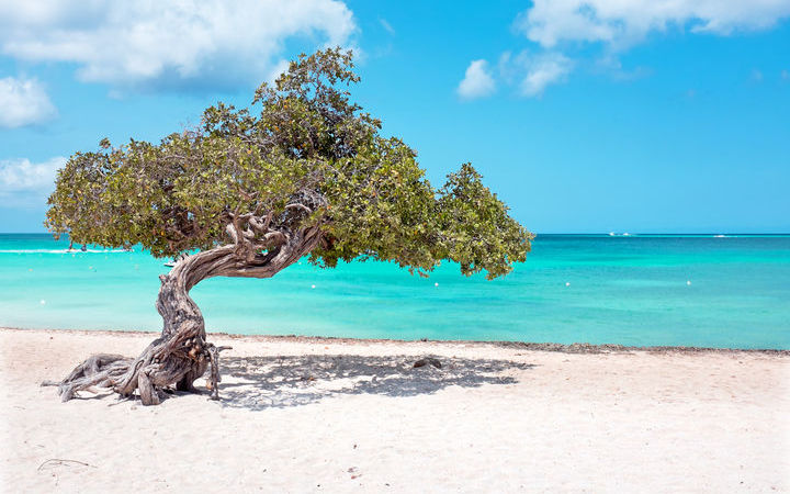 Antilles (Aruba)