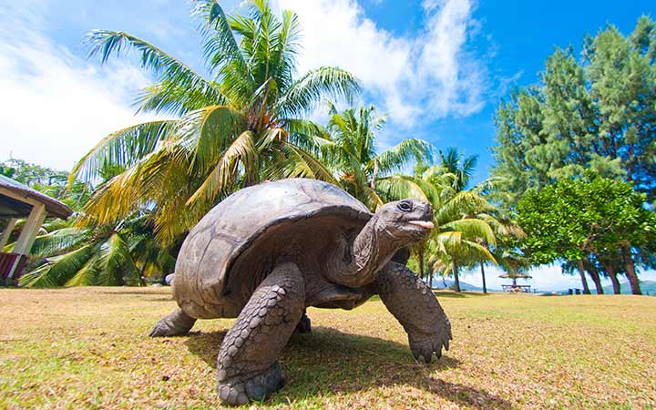 Iles Galapagos ( Baie Post Office)