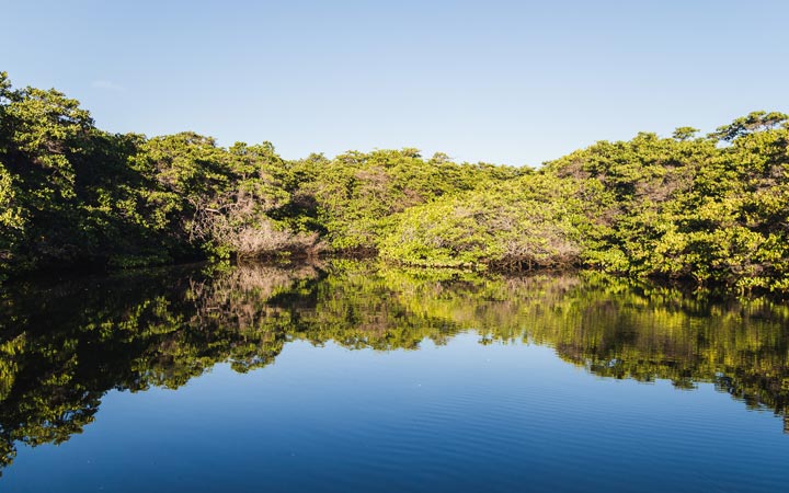 Iles Galapagos (Baltra)